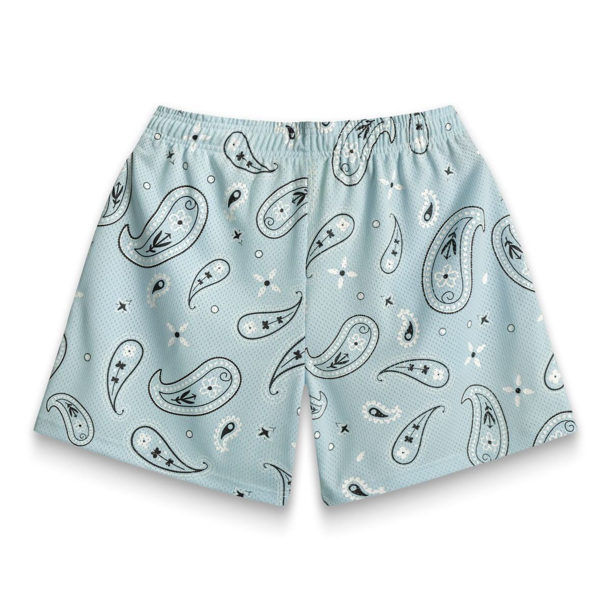 Men's Fitness Mesh Breathable Loose Sports And Leisure Shorts